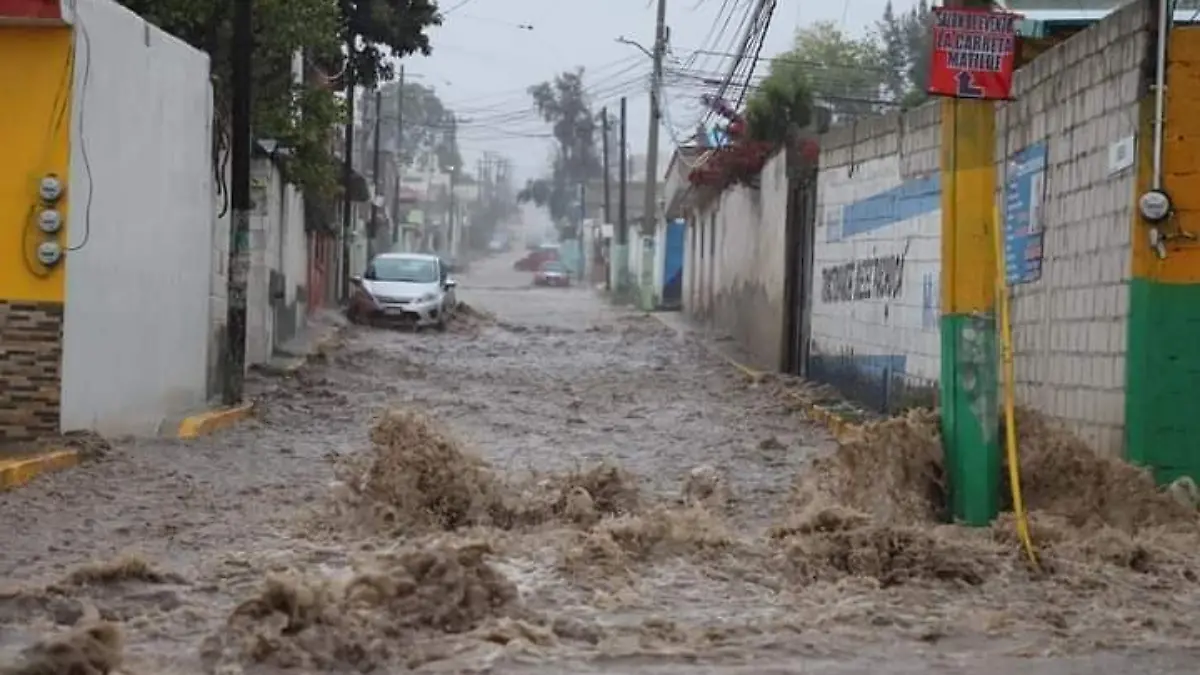 LLUVIA  BLANCA E.